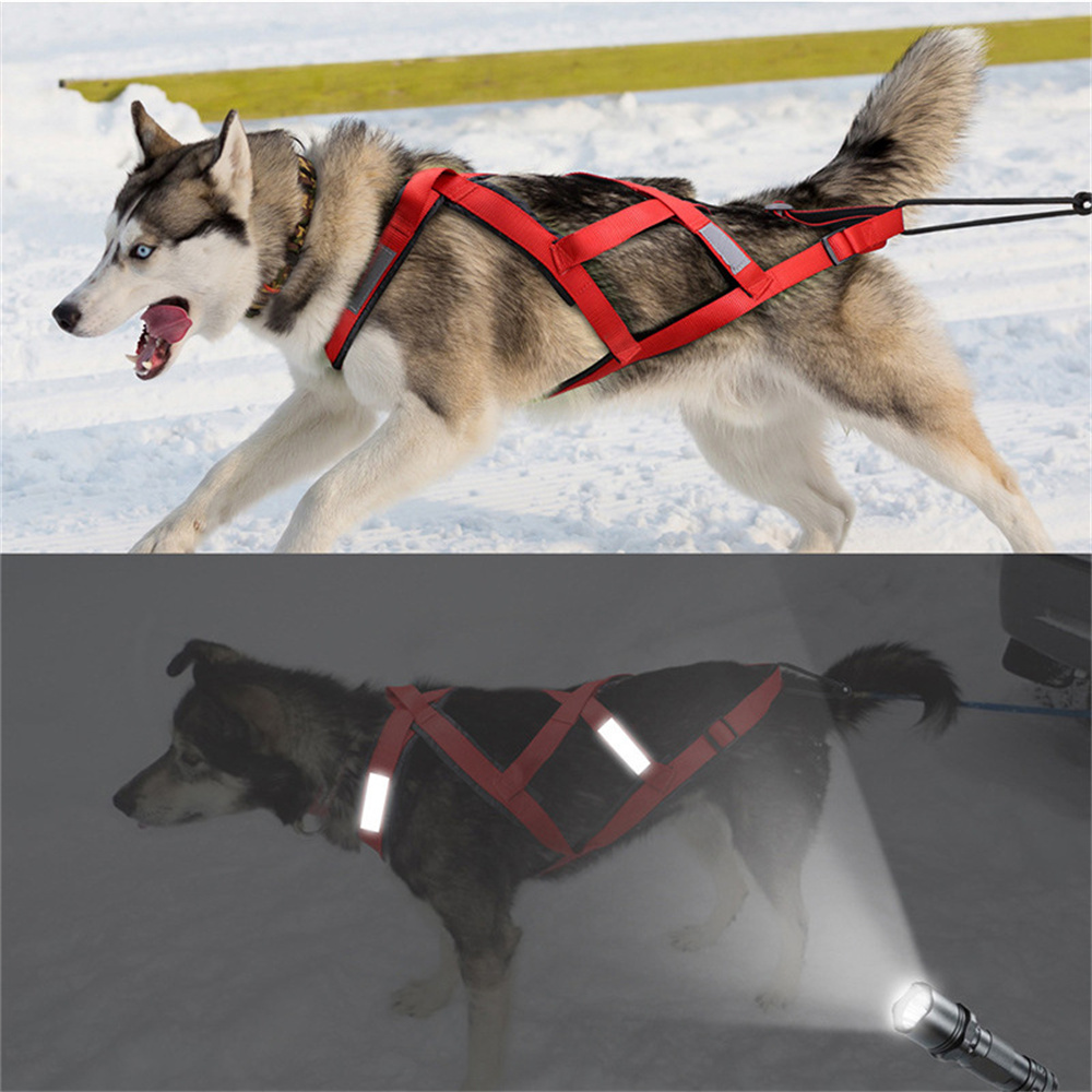 Harness Anjing Berkualitas Tin - Reflective Running Jacket ulasan dan harga
